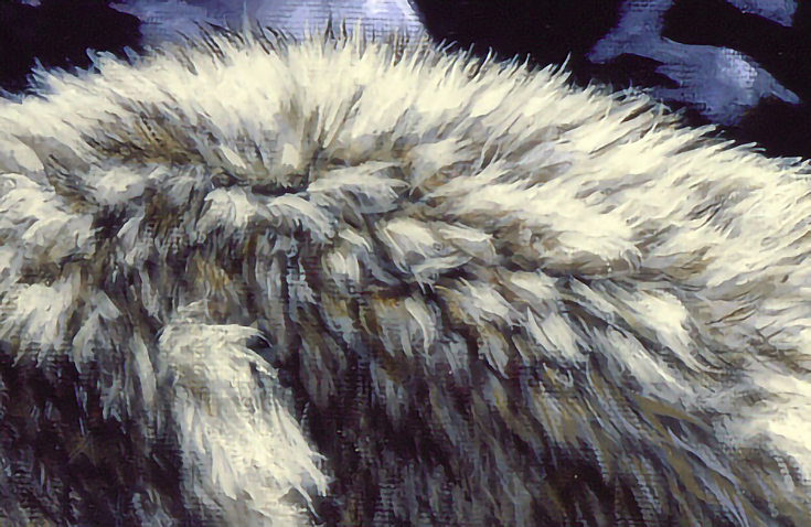 fur round brush