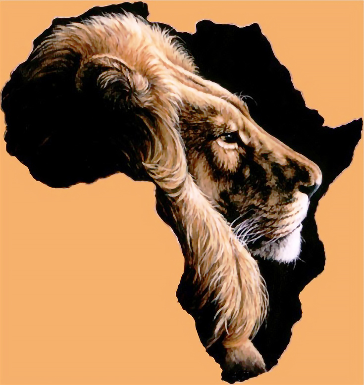 'AFRICAN LION' copy