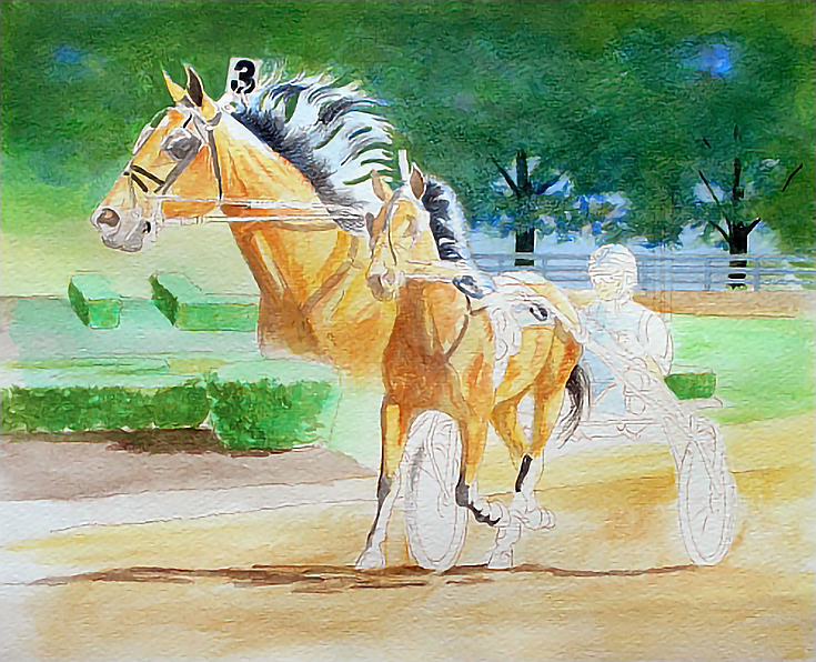 watersolublecoloredpencilhorse6-carrielewis