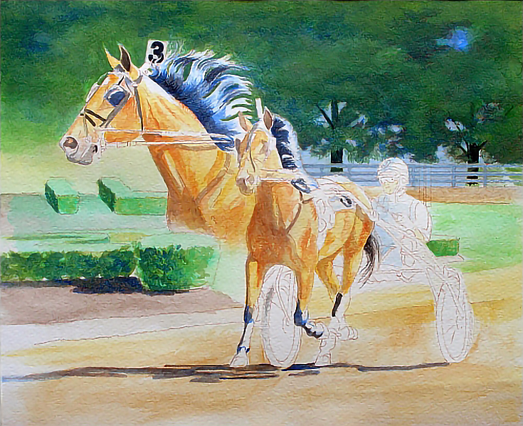 watersolublecoloredpencilhorse7-carrielewis