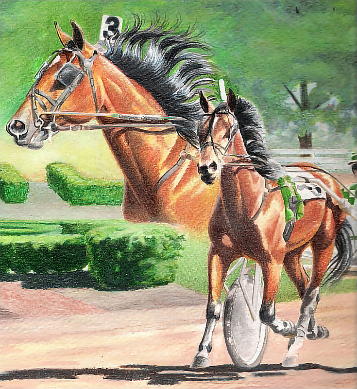 watersolublecoloredpencilhorse13-carrielewis