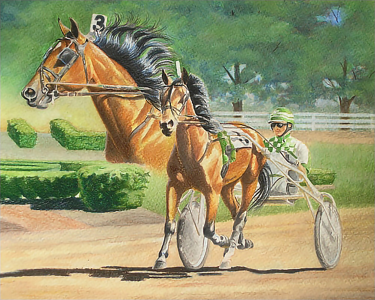 watersolublecoloredpencilhorse14-carrielewis