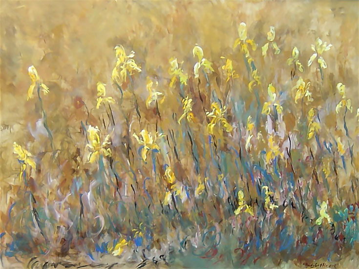 wild-yellow-iris-screen