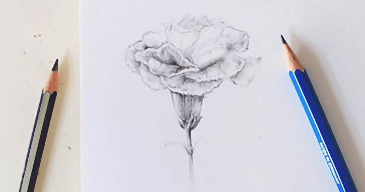 graphite-flowers