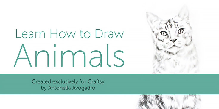 learn-to-draw-animals