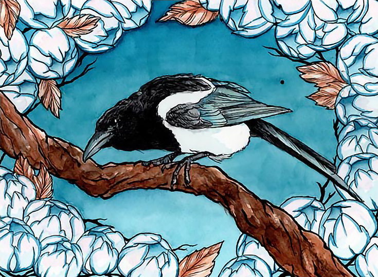 magpie-and-winter-roses
