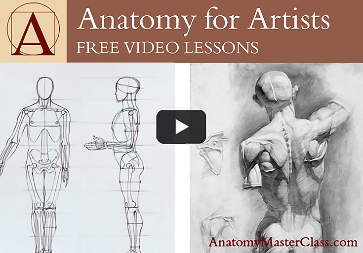 anatomymasterclass-anatomy-for-artists