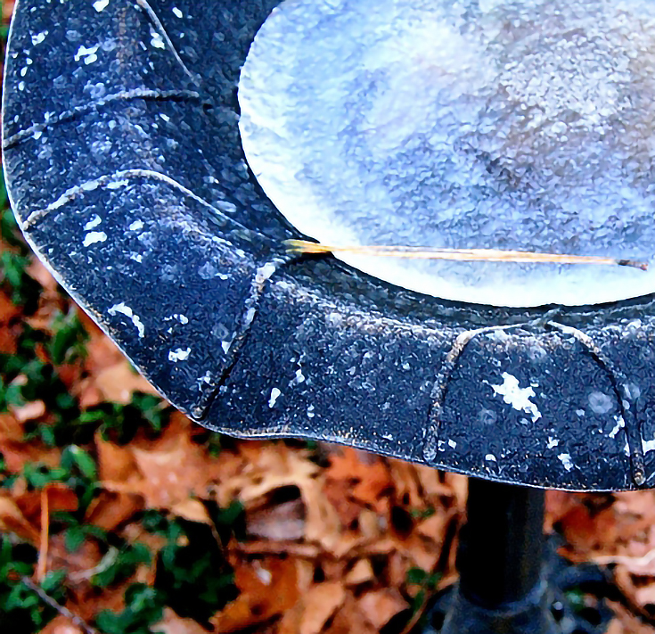 Frozen birdbath ee resize