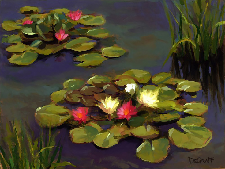 waterlillies