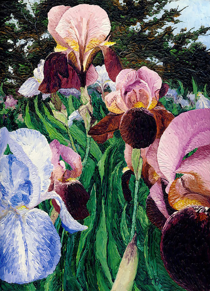 Best Irises