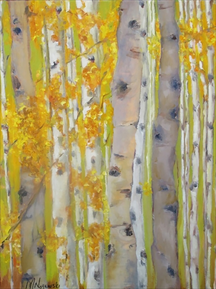 aspen in shade