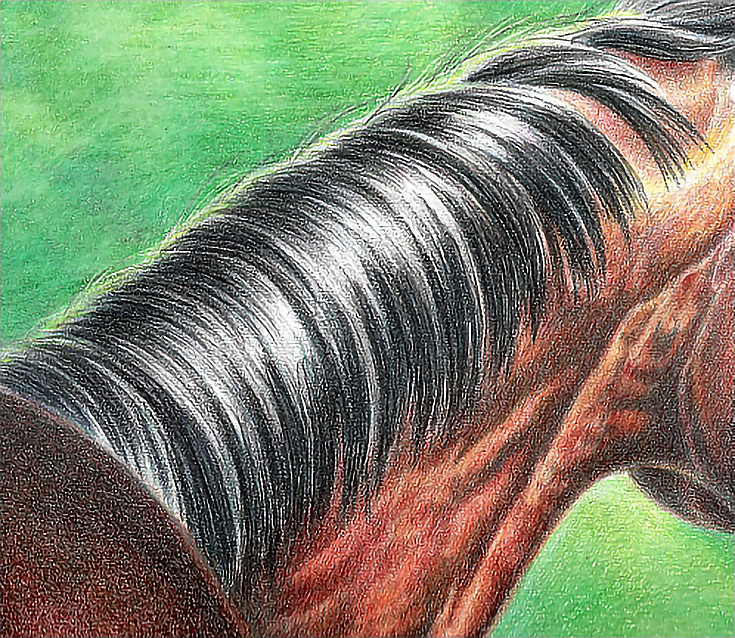 How to Draw Realistic Hair in Colored Pencil 
