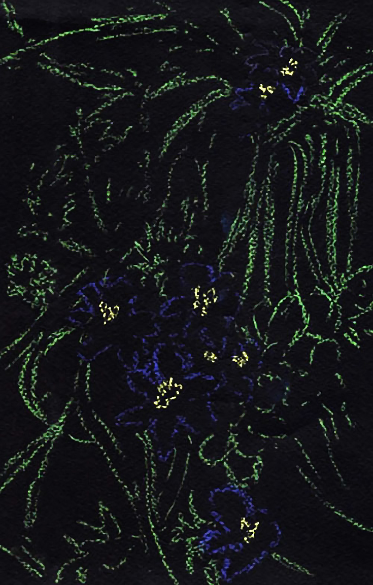 Oil pastel drawing on Black paper, Four landscapes