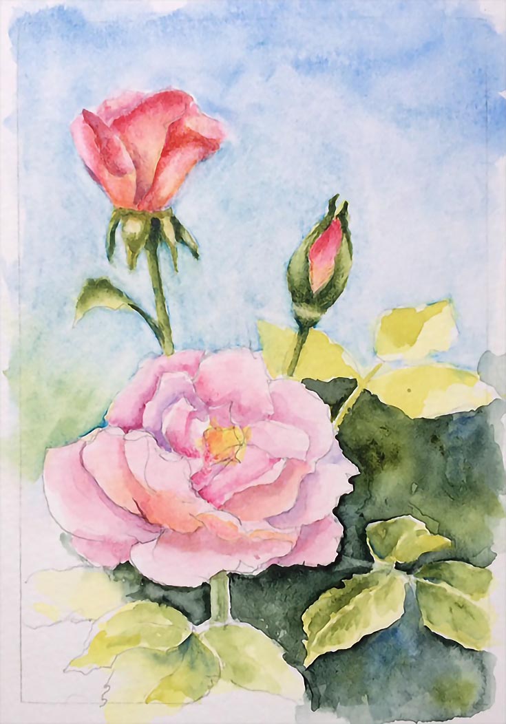 How to Paint Watercolor Roses (From Sketch to Finished Painting