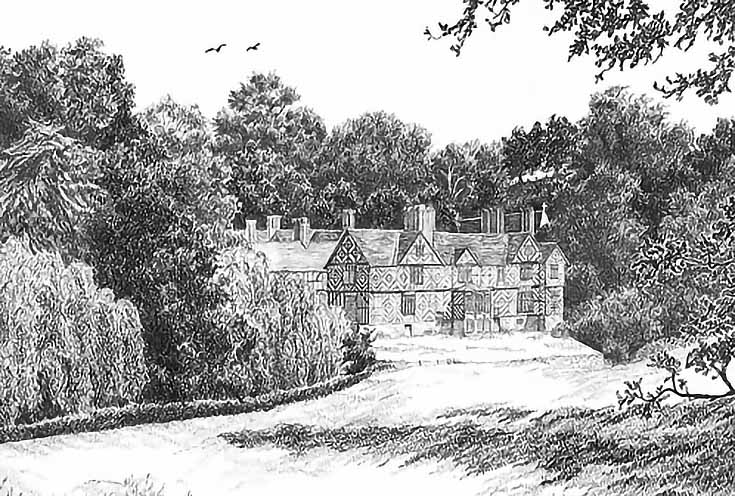 hilsden-drawing-3