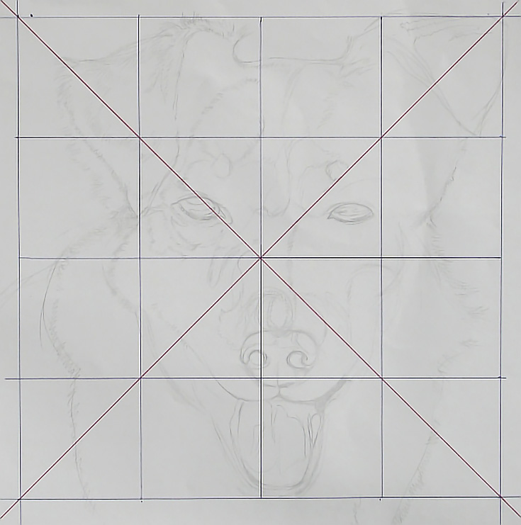 How to Set Up a Grid For Your Drawing 