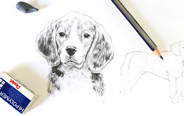 It's Another Saturday Giveaway! Get Your Free Guide to Drawing Animals  Inside 