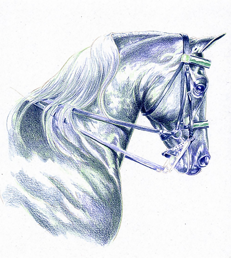 grisaille colored pencil