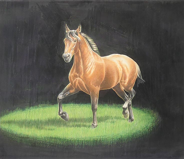 How to Draw a Realistic Chestnut Horse With Colored Pencils