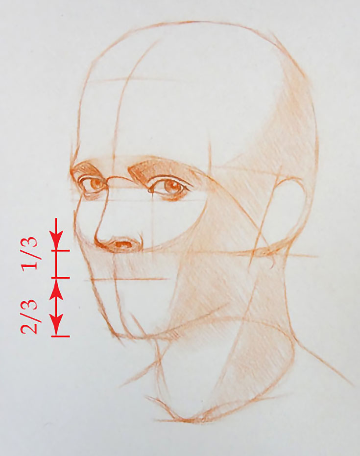 How To Draw A Portrait In Three Quarter View Part
