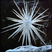 Goldsworthy icicle sculpture