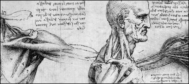 Anatomical-studies-of-the-shoulder