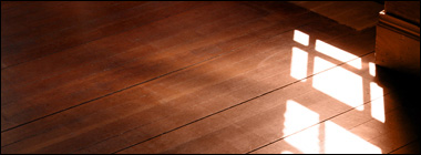 Sunlight on Wood Floors