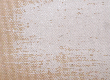 Cover Canvas with Gesso