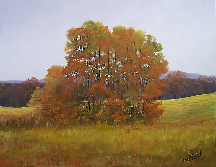 Autumn Field by Paula Ford