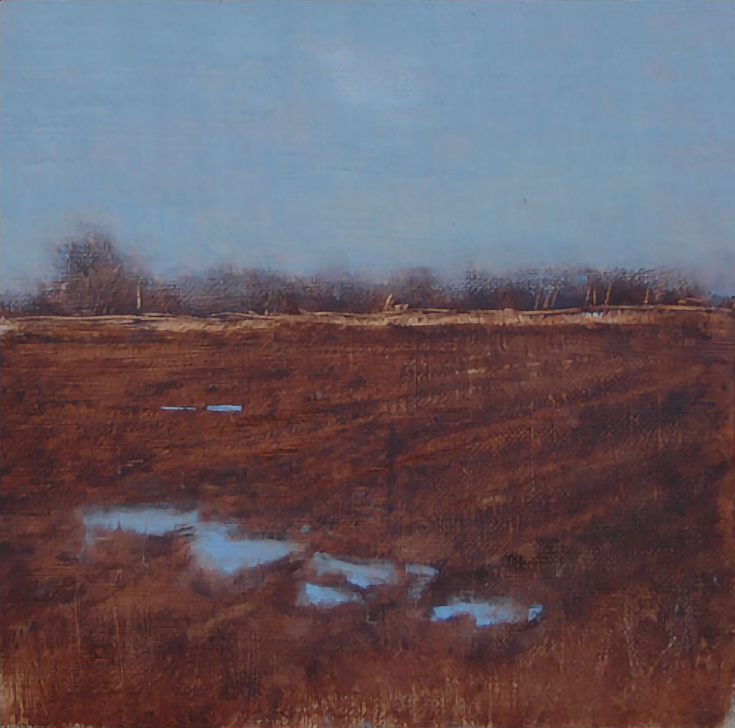 Winter Field - A Bluebird Day by Deborah Paris