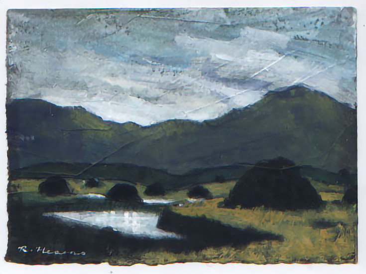 Bog Field by Richard Hearns