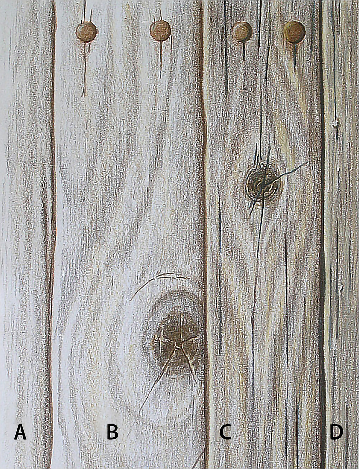 How to Draw Realistic Wood Grain Details with Colored Pencils