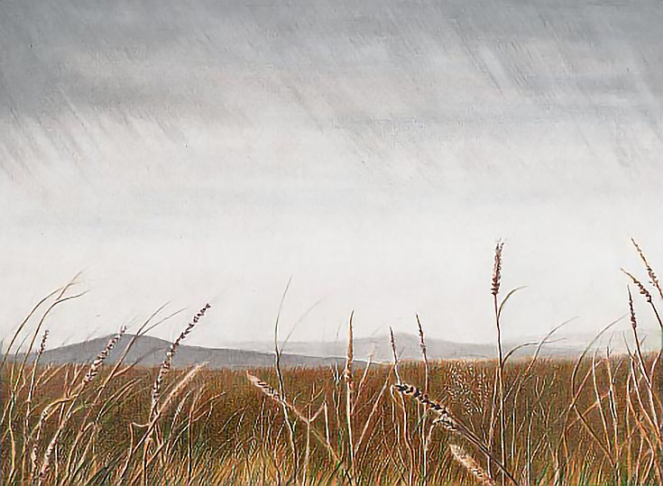 How to Draw a Wet, Rainy Landscape in Colored Pencil, Part 3