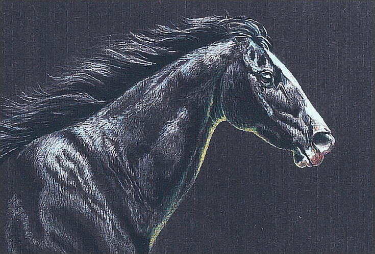 4 Ways to Use Colored Paper In Your Colored Pencil Drawings