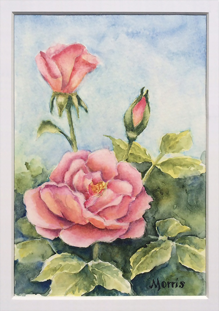 Watercolor Rose Paintings