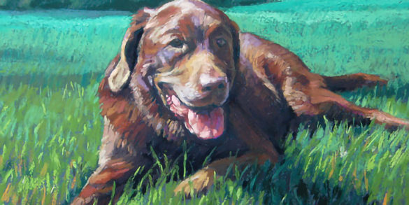 Caesar, a pet portrait