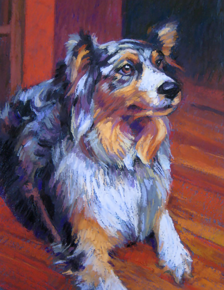 Roxy, a pet portrait