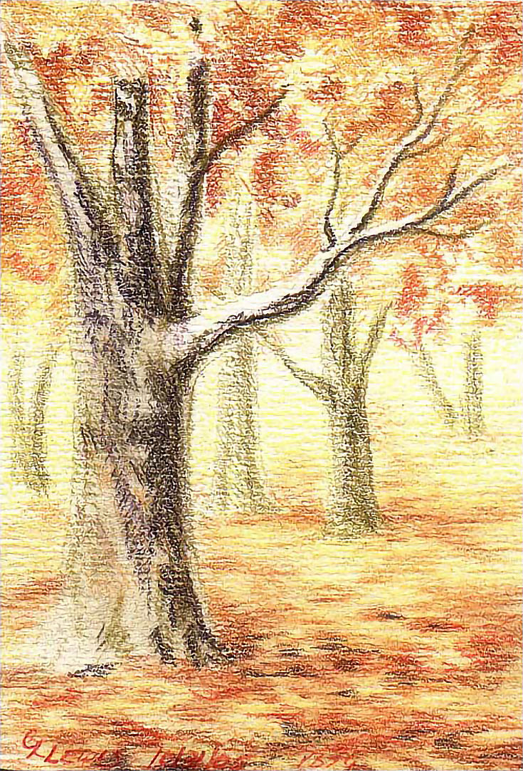 Colored pencils drawing of autumn trees