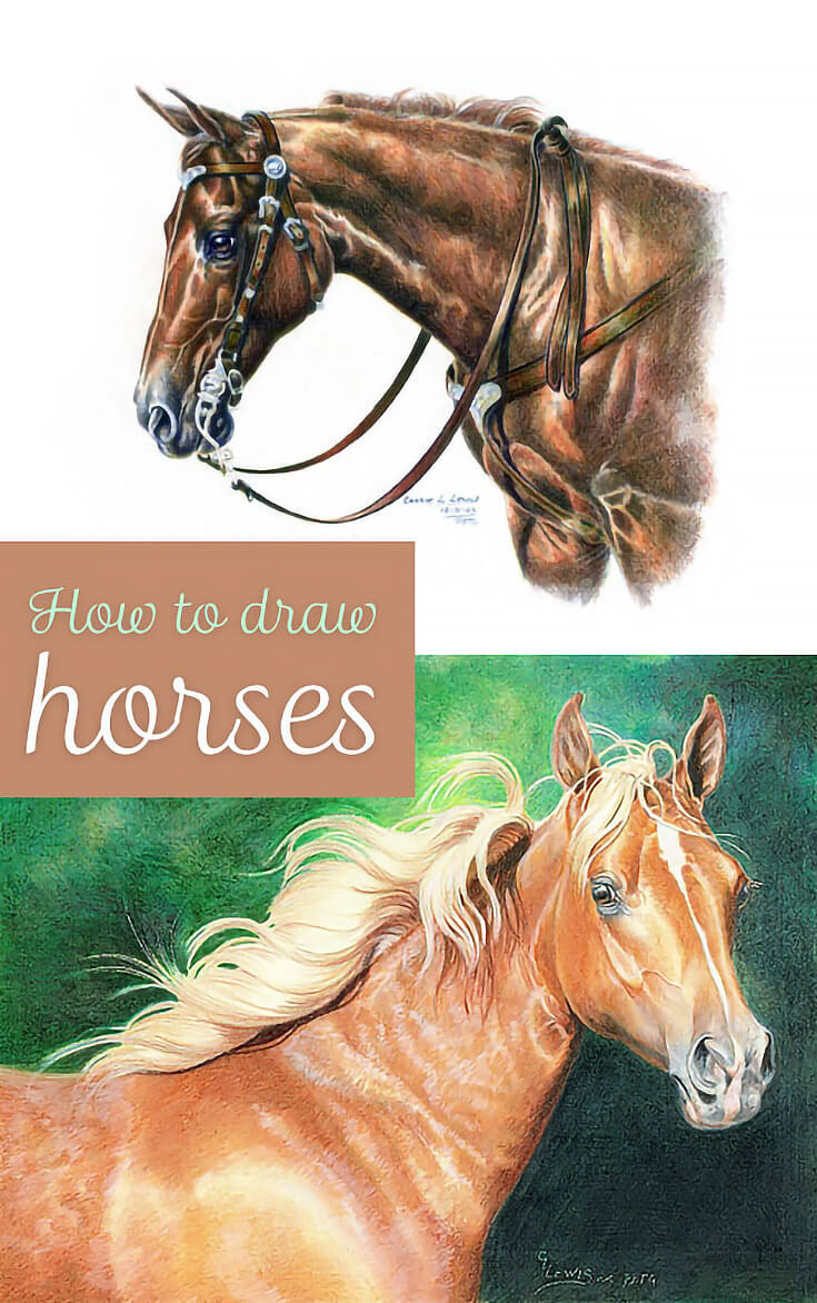 Featured image of post Easy Horse Drawing Images With Colour