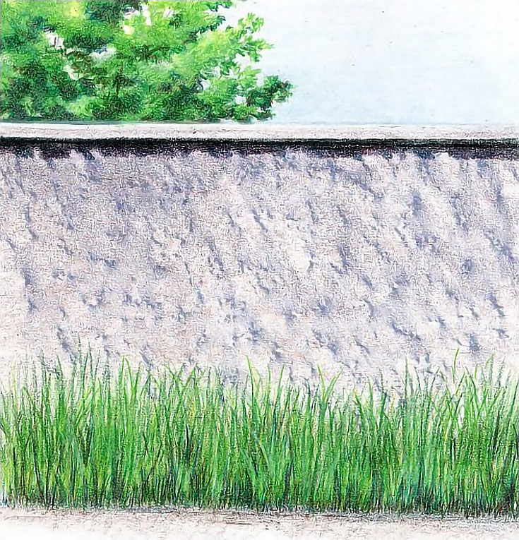 More Fast & Easy Backgrounds for Colored Pencil Drawings - EmptyEasel.com