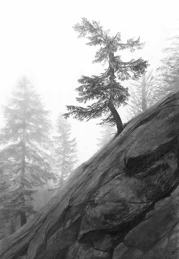 landscape drawings pencil