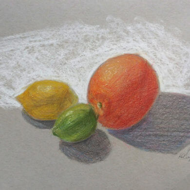 9 Drawing Tips For Beginner Coloured Pencil Artists