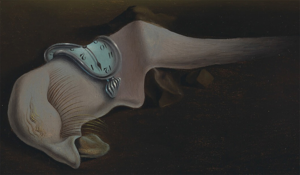 Surreal figure found in Dali's painting, The Persistence of Memory