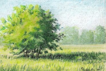 Landscape on sanded art paper