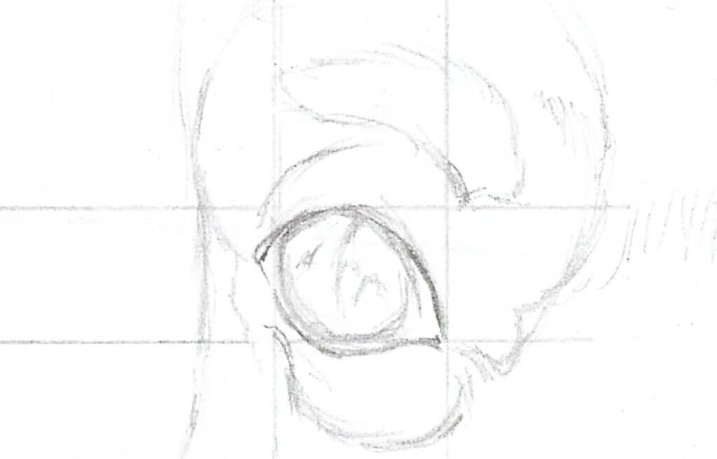 Drawing the details of the eye